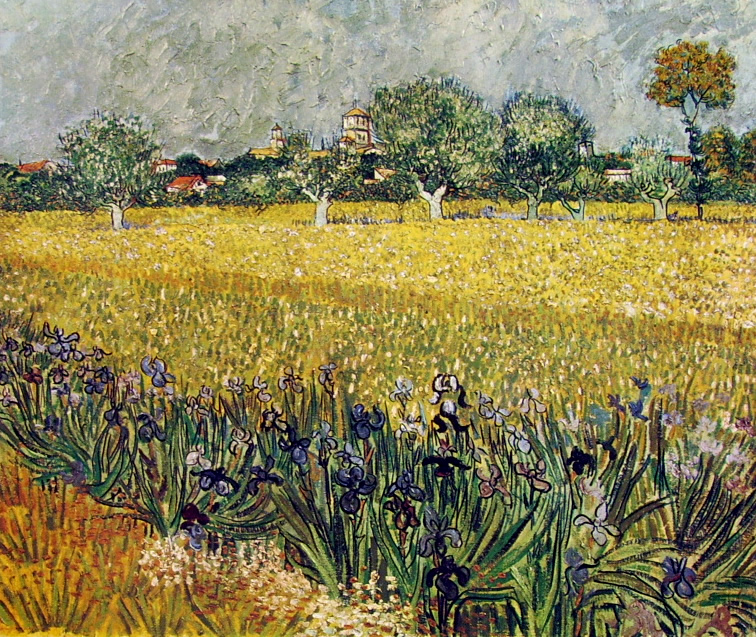 Van Gogh campo con iris e veduta di arles 499
