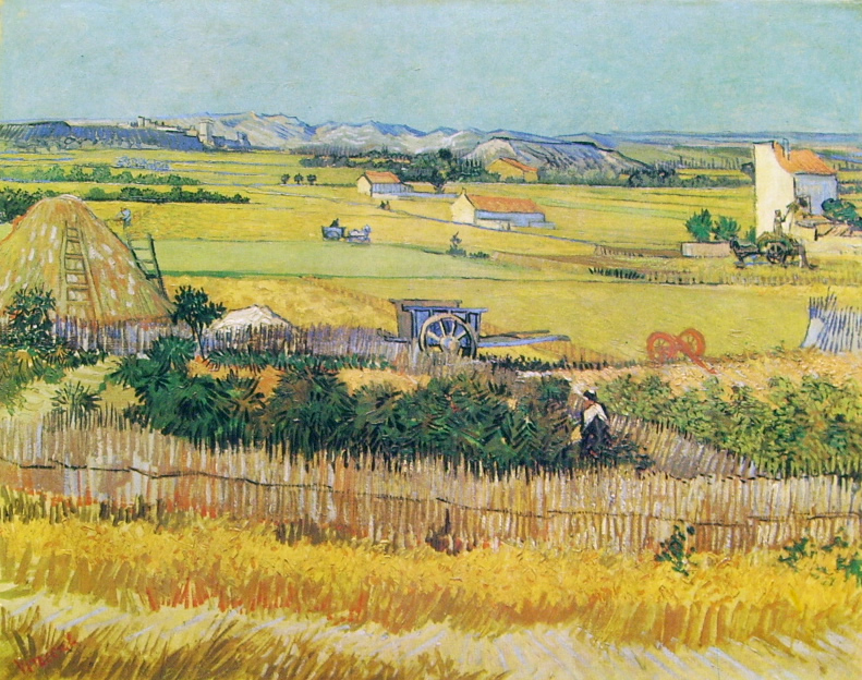Van Gogh la piana Crau