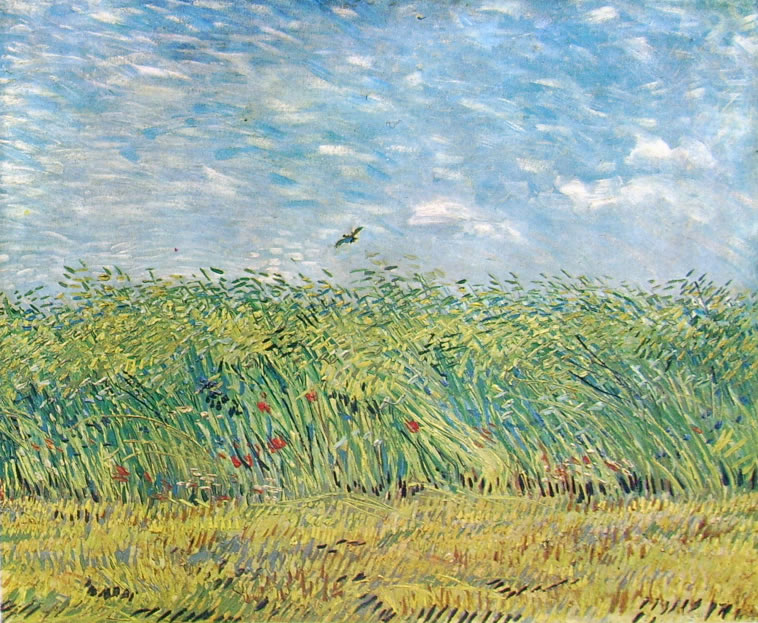 Van Gogh limitare un campo di grano