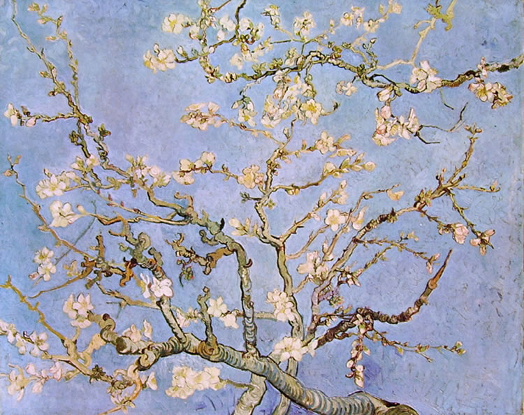 Van Gogh rami di mandorlo in fiore 769